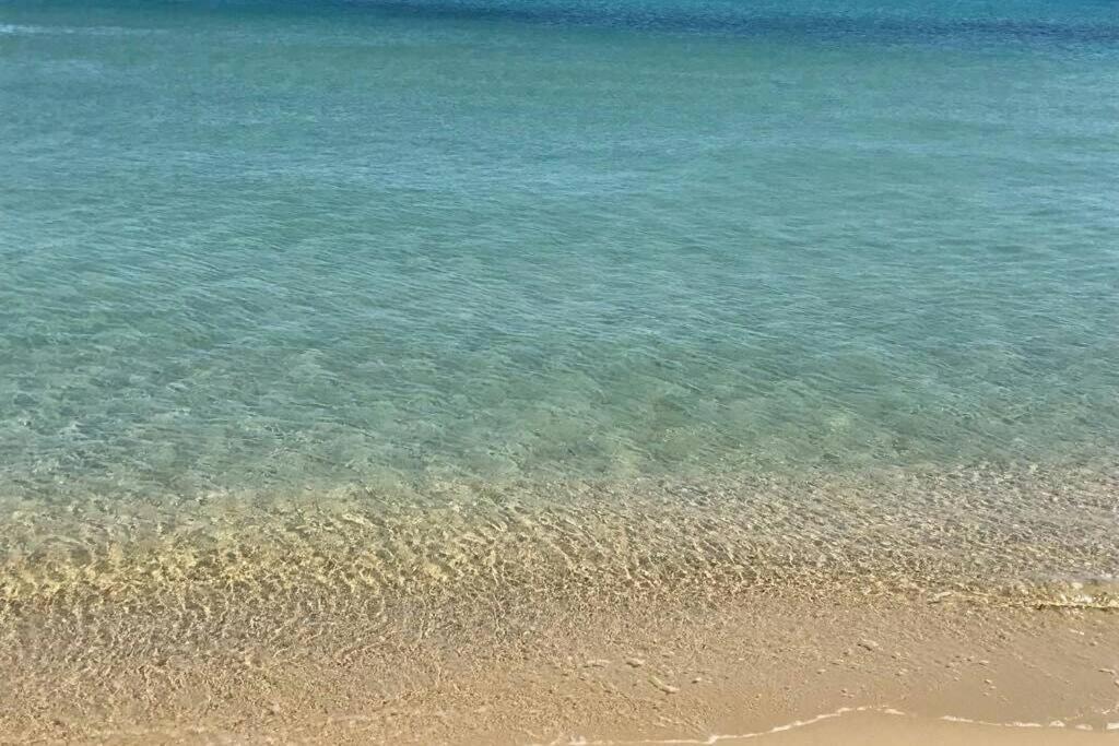 2 Bedrooms, 15 Min Walk To Beach, Ac, Pool & Fiber Internet In A Quiet, Private Gated Domain 5Kms To St Tropez Cogolin Buitenkant foto