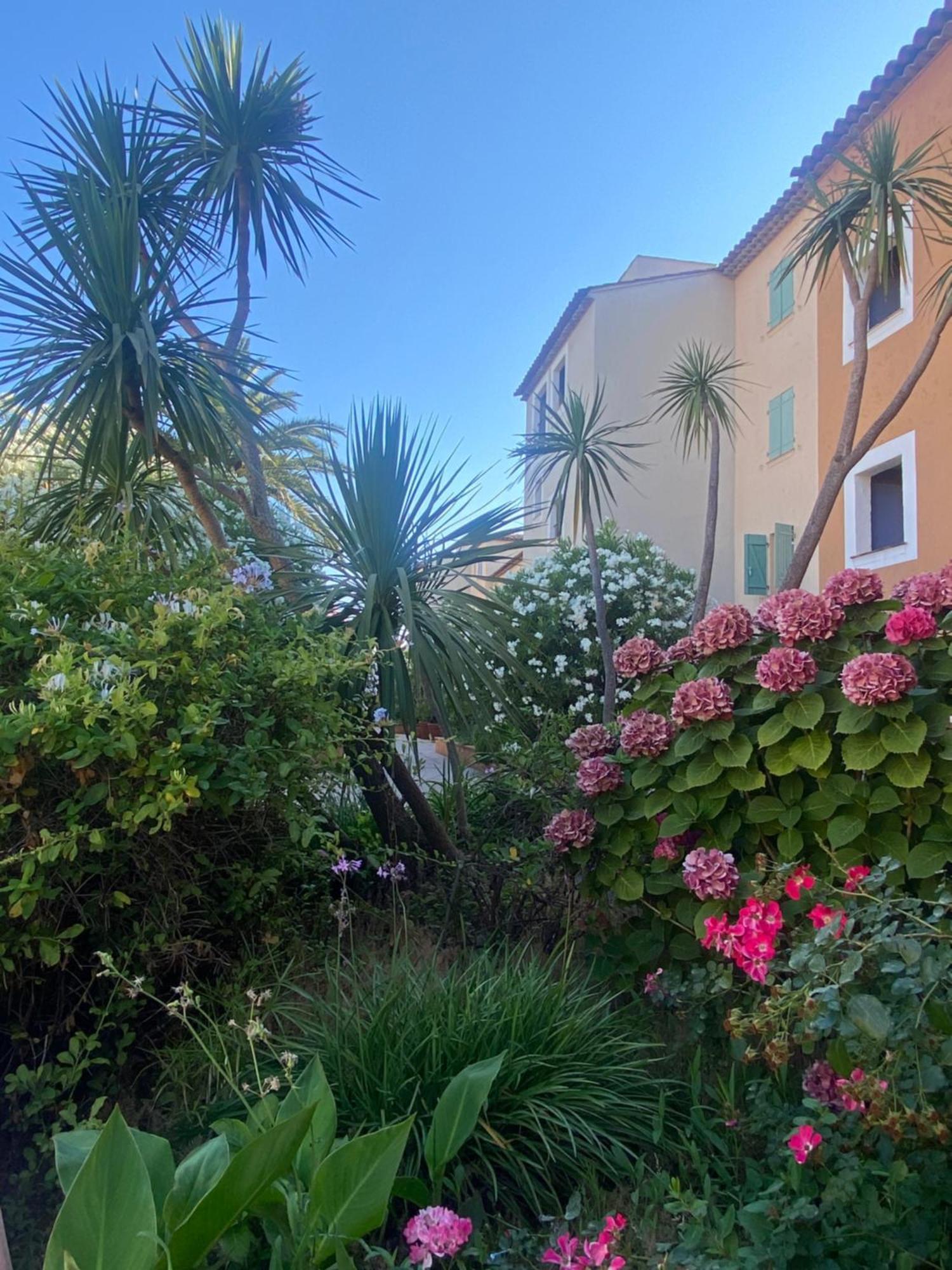 2 Bedrooms, 15 Min Walk To Beach, Ac, Pool & Fiber Internet In A Quiet, Private Gated Domain 5Kms To St Tropez Cogolin Buitenkant foto