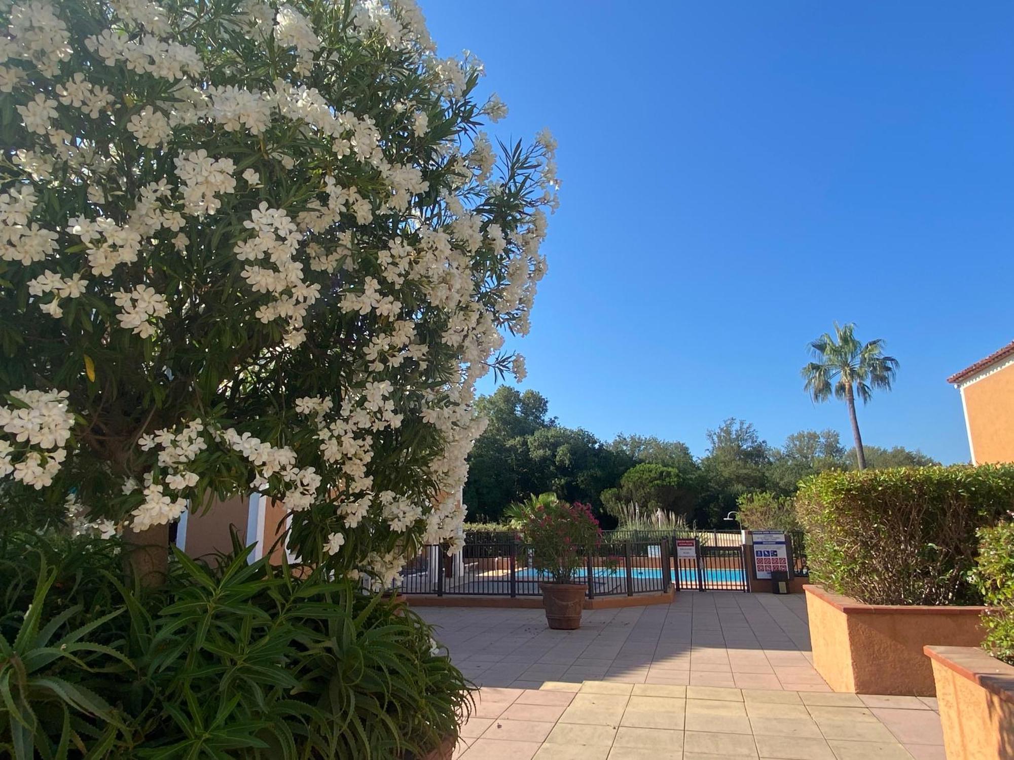 2 Bedrooms, 15 Min Walk To Beach, Ac, Pool & Fiber Internet In A Quiet, Private Gated Domain 5Kms To St Tropez Cogolin Buitenkant foto